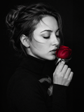 Whispers of the Crimson Rose